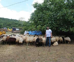Kurbanlık Fiyatları Kartal